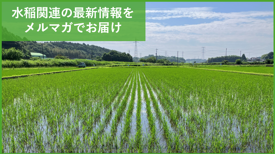 0718_Risocare_YahooKWAds