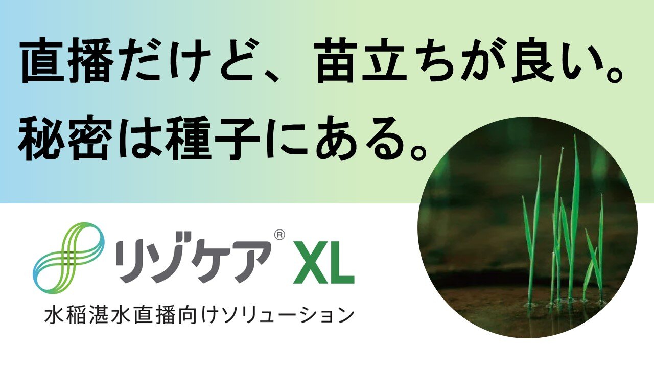 240529_risocare_banner01